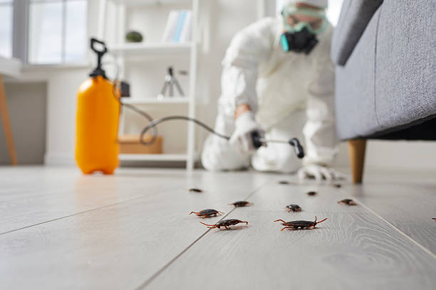Post-Treatment Bed Bug Interceptor Monitoring in Cayucos
