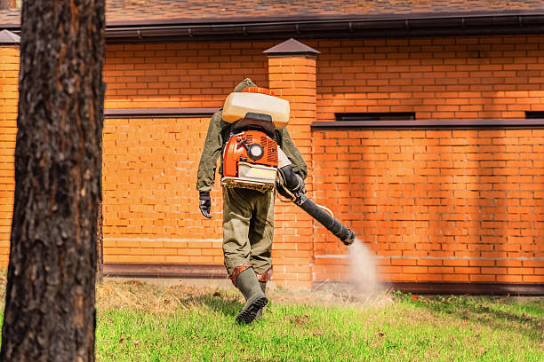 Bed Bug Clearance Verification and Documentation in Cayucos